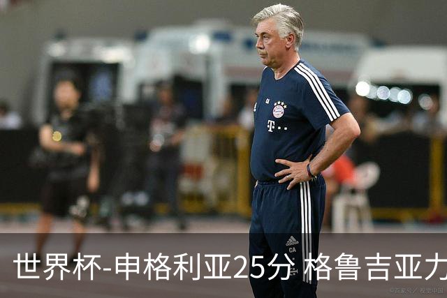 世界杯-申格利亚25分 格鲁吉亚力克委内瑞拉
